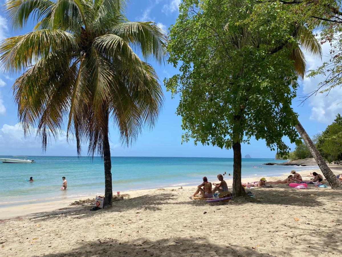 Studio Rdc La Desirade Martinique Acces Direct Plage Sainte-Luce Exterior photo